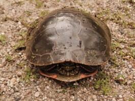 Cristina Tatar Upcycling Studio